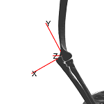 ElbowAnt.png