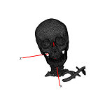 SkullAnt.png