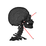 SkullLat.png